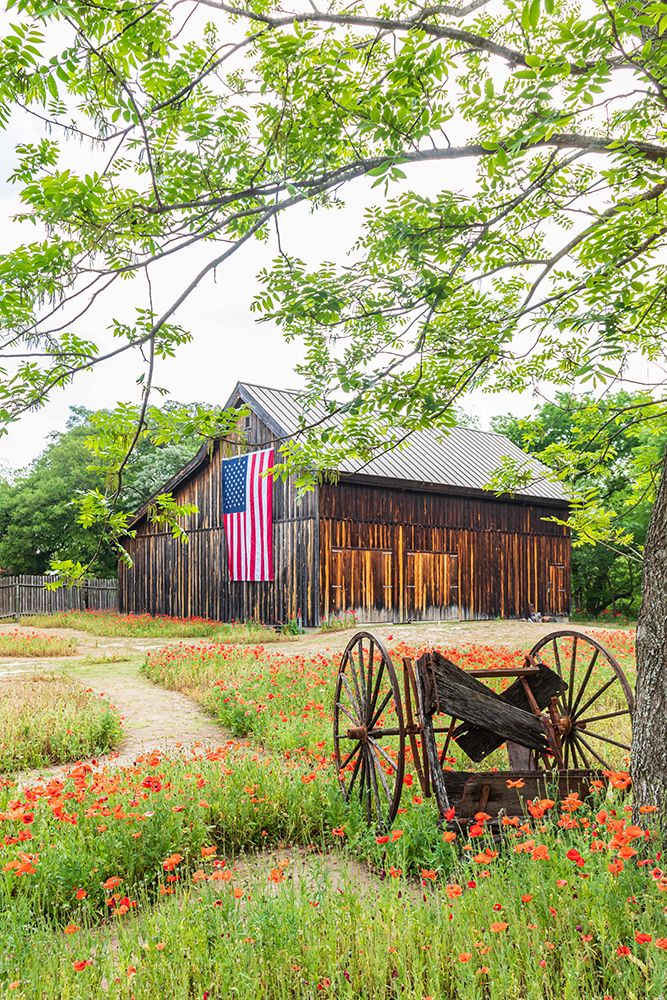Castroville-Texas-USA-Large American flag on a barn in the Texas Hill Country